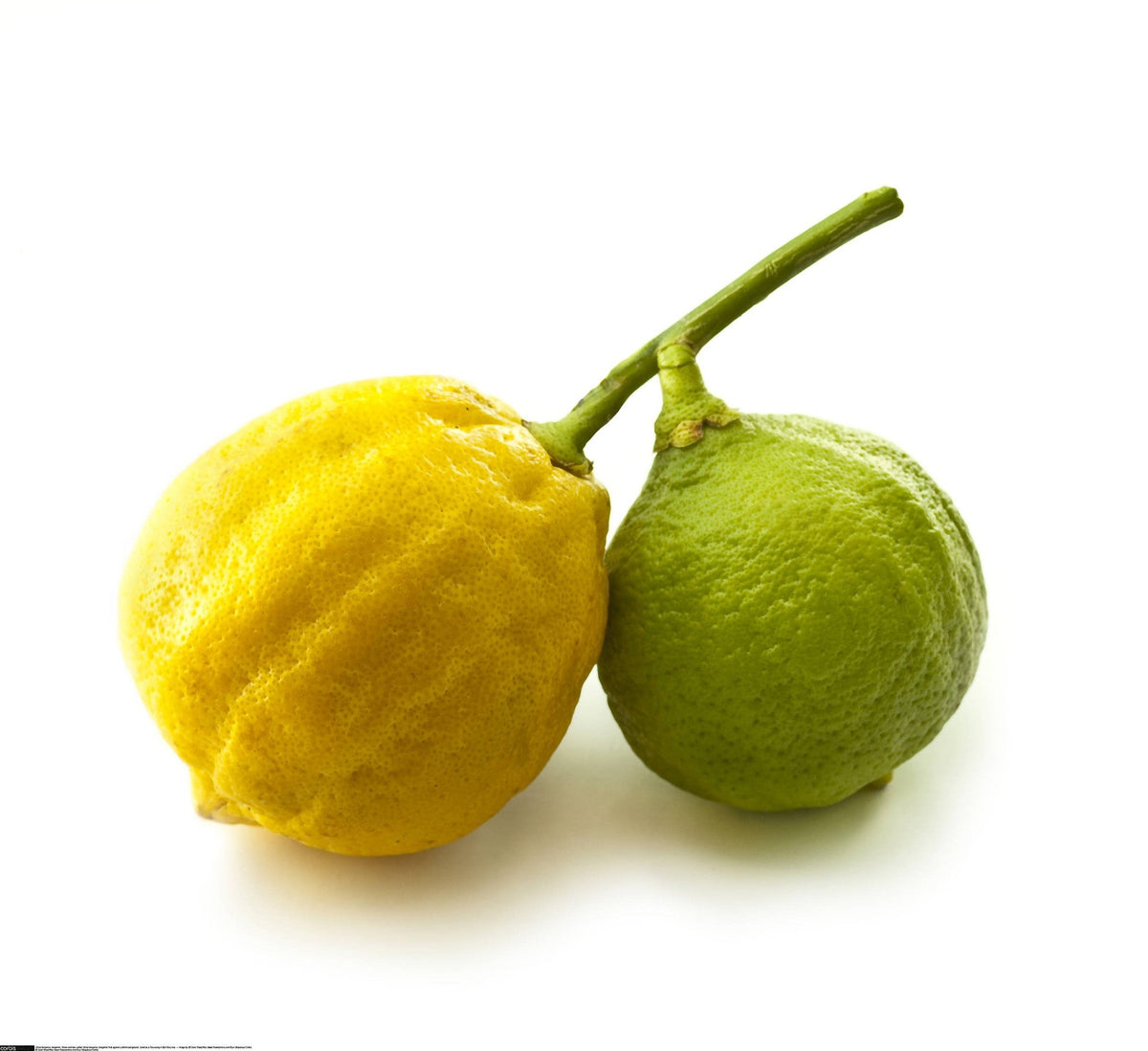 Bergamote