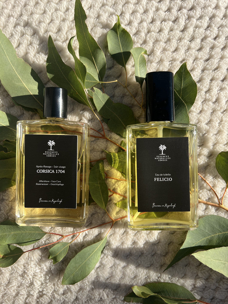 Men's Perfume Gift Set
