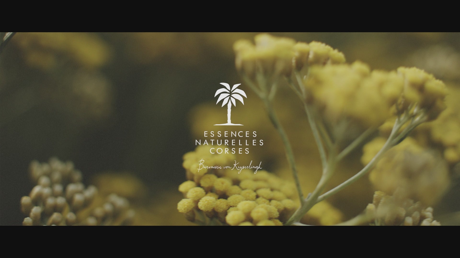 Video laden: 